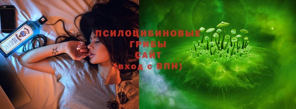 винт Бронницы