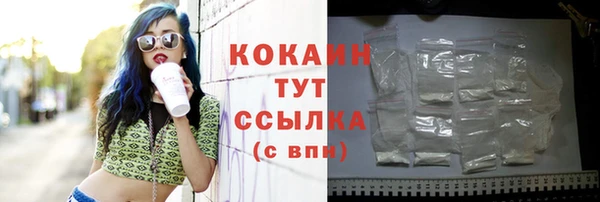 ПСИЛОЦИБИНОВЫЕ ГРИБЫ Бородино