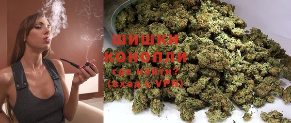 прущие грибы Богданович