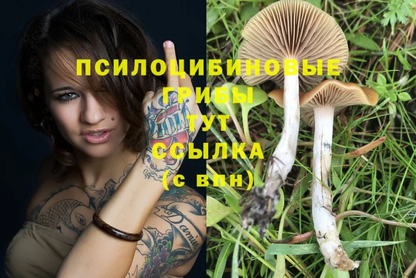 винт Бронницы