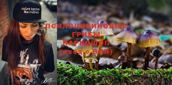 ПСИЛОЦИБИНОВЫЕ ГРИБЫ Бородино
