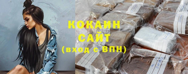 ПСИЛОЦИБИНОВЫЕ ГРИБЫ Бородино