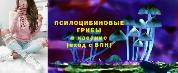 ПСИЛОЦИБИНОВЫЕ ГРИБЫ Бородино